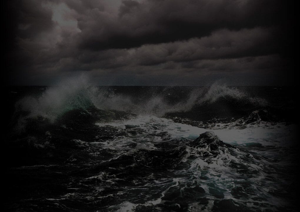 Fossil Mammoth tooth