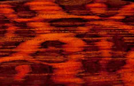 Snakewood